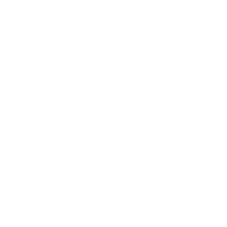UNDP